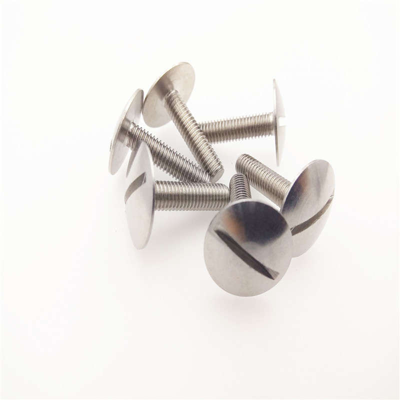 stainless steel extra-wide truss head slotted screws gb947 big