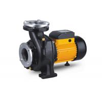 China Single Stage Nfm Series Electric Centrifugal Pump , Pool High Volume Electric Water Pump factory