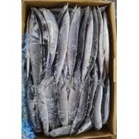 China 1# BQF Seafrozen Pacific Saury Fish With Bulk Packaging factory