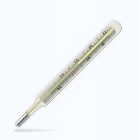 China Personal Safety Mercury Clinical Thermometer , Mercury Filled Thermometer factory
