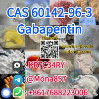 China Buy White powder Gabapentin cas 60142-96-3 with best price 100% safe delivery factory