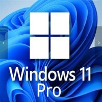 China Windows 11 Professional 1 User Key For Small Businesses Enhanced factory