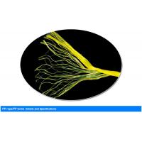 Quality Agriculture Use 4KG PP Banana Twine With High Tenacity UV Additive for sale