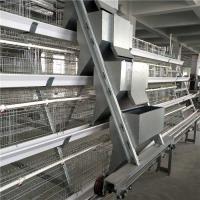 China High Performance Automatic Poultry Feeder System Modern Control Easy Operation factory