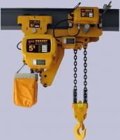 China YUANTAI Motorized Electric Chain Hoist for sell factory