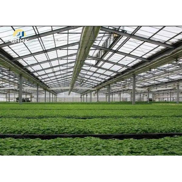 Quality Modern Agricultural Steel Buildings Customized Steel Structure Greenhouse for sale
