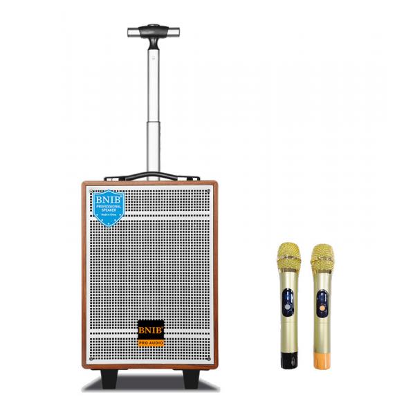 Quality 9KG Bluetooth 5.0 Portable Trolley Speaker 10 Inch Karaoke Speaker With Microphones for sale