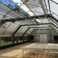 Quality Blackout Light Deprivation Greenhouse For Agriculture Using 30ft Width for sale