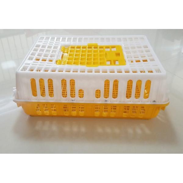 Quality Plastic baskets for poultry turnover（Red ，Orange，yellow ） for sale
