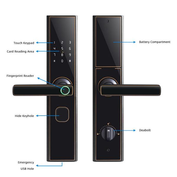 Quality Keyless Digital Smart Door Locks Keypad Biometric Fingerprint for sale