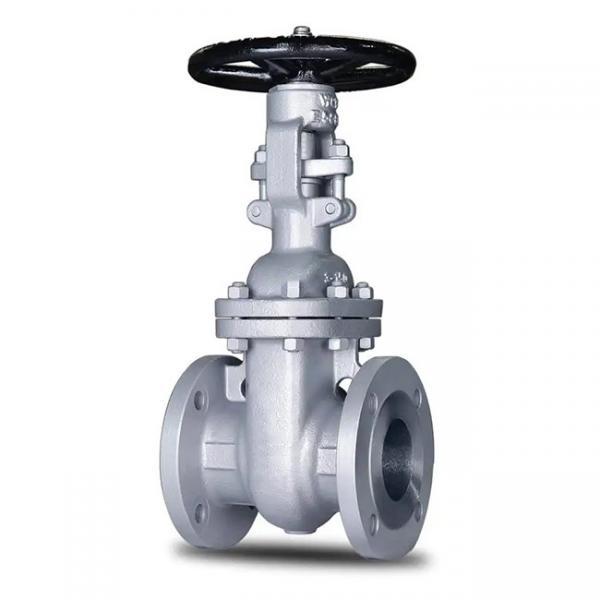 Quality Carbon Steel Gate Valve 2 Inch WCB For Petrochemical Application for sale