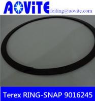 China Terex TR100 off-highway truck snap ring 9016245 factory