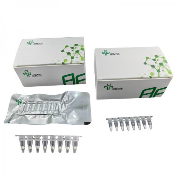Quality High Performance DNA Isothermal PCR Amplification Kit For Accurate PCR Results for sale