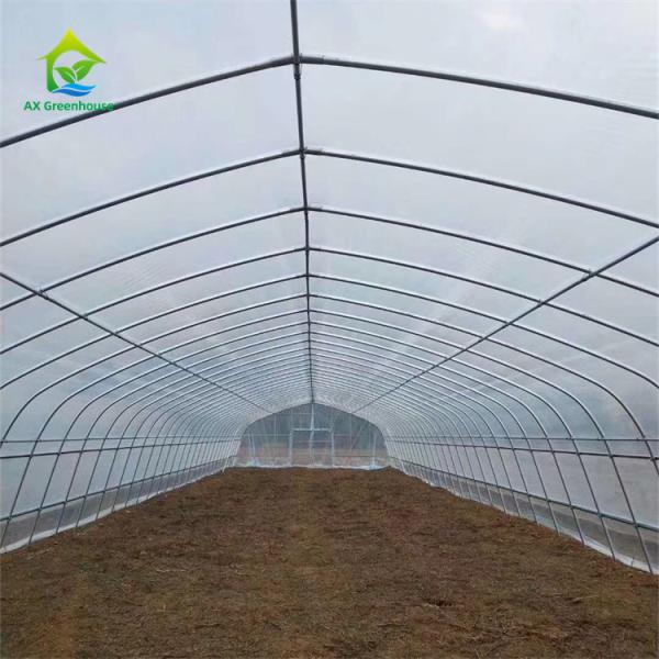 Quality Serre Gothique 240m2 Poly Tunnel Greenhouse Economical Gothic Arch Greenhouse for sale