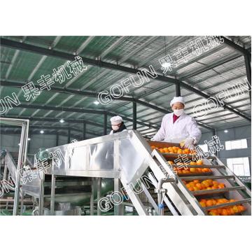Quality HPP Citrus Processing Line / 440V Lemon Processing Plant Easy Operation for sale