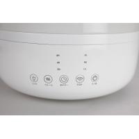 China New Model cool and warm mist air Humidifier Professional Ultrasonic Humidifier for sale