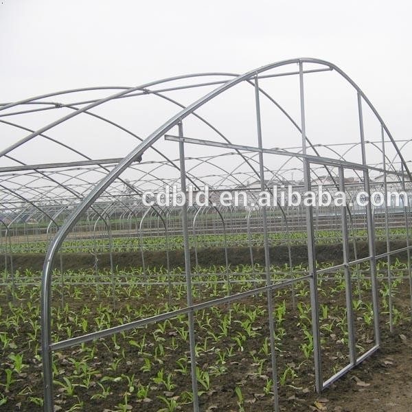 Quality Steel Frame Tunnel Plastic Greenhouse / PE Film Plastic Tomato Greenhouse for sale