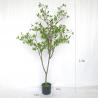 China 4 Ft Artificial Ficus Tree  , Faux Ficus Tree For Garden factory