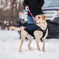 China  				Waterproof Dog Jacket, Soft Fleece Lined Dog Coat for Winter 	         factory