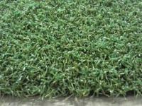 China Nature Look Monofliment Golf Course Artificial Turf For Putting Greens Recyclable factory