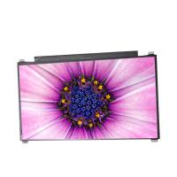 China 13.3 inch Original laptop LCD display screen For NV133FHM-N44 30 PIN LCD Panel factory