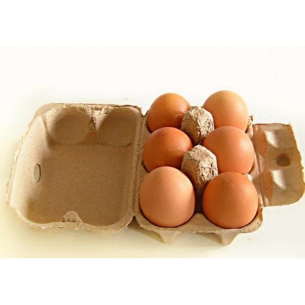 Quality Two Molds Egg Tray egg box Making Machine with metal dryer for sale