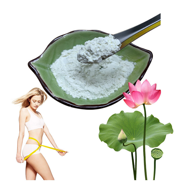 China 10% 50% 98% Lotus Leaf Extract Nuciferine Herbal Extract Powder Free Fatty Acids factory