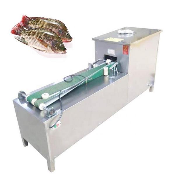 Quality Small Tilapia Fish Processing Machine for sale