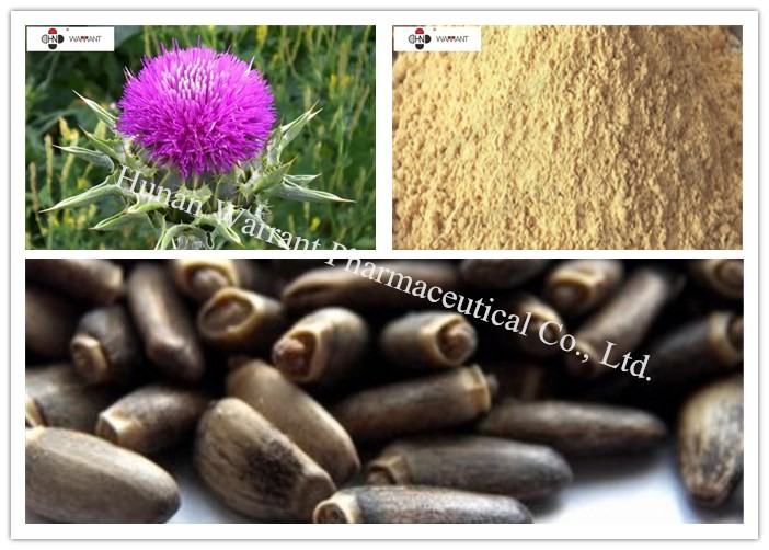 China CAS 84603 58 7 45% Silymarin Herbal Extract Powder factory