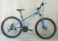 China Double Wall Rim Hardtail Cross Country Bike With Hydraulic Disc Brake Index 8 Speed factory