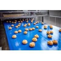 Quality Woven Baking Food Industry Conveyor Belt Polyester Heat Setting Finish for sale