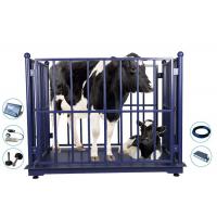 China Vet LED KELI Electronic Cattle Weighing Scales Bluetooth factory