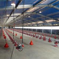 China Excellent Ventilation Interlocking Broiler Floor System for Livestock Production Line factory