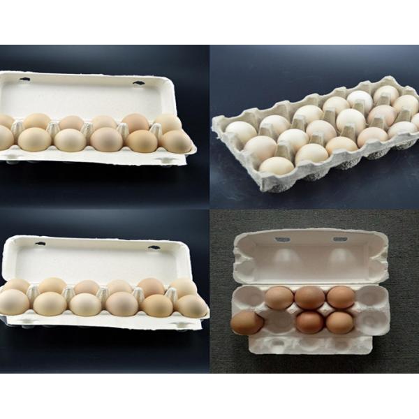Quality Customized Paper Egg Tray Machine Semi Automatic Type Computer Controlled for sale