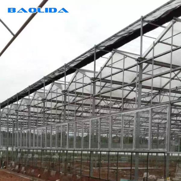 Quality Venlo Commercial Multi Span Steel Structure Polycarbonate Sheet Greenhouse for sale