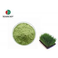 China 200 Mesh Organic Barley Grass Powder / Green Barley Grass Japan 100% factory
