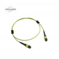 China Multi fiber MPO Patch Cord PVC Jacket 12 Core OM5 Female To Female Connector PC Polishing factory