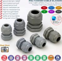 China Straight Cable Glands, Metric &amp; PG Thread, IP68, Polyamide 6 (Nylon 6), Grey RAL7001 &amp; 7005, for Junction Box factory