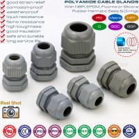 Quality Straight Cable Glands, Metric & PG Thread, IP68, Polyamide 6 (Nylon 6), Grey for sale