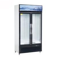 china Cold Drinks Commercial 1000L Vertical Glass Door Freezer