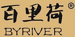 China Wuxi Byriver Technology Co., Ltd. logo