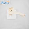 China Professional Medical Teaching Anatomical Skeleton Model Plastic Elbow Joint Models factory