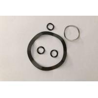 Quality Black E Coating Metal Ring Gasket OEM Shocker Repairing for sale