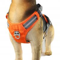 Quality Pet Dog Harness for sale