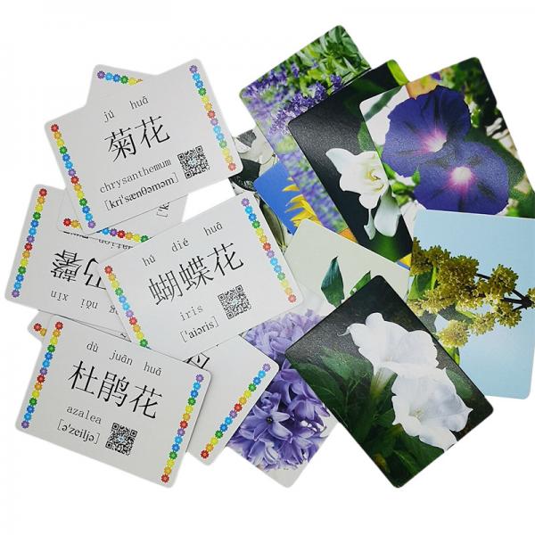 Quality 0.35mm Learning Flash Cards , CMYK Sign Language Cards Printable for sale