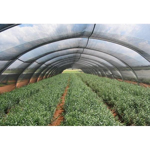 Quality Hdpe Greenhouse Shade Netting for sale