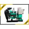China 40 Kw Aspiration Propane Powered Generator Strong Power , Power Electric Generators Low Displacement factory