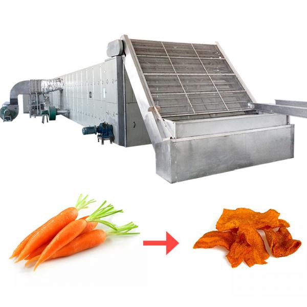 Quality Multifunctional Mesh Belt Dryer Machine Stainless Steel Delicate Treatment Fruit for sale