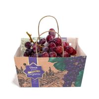 Quality Biodegradable Waterproof Fruit Paper Bags Recyclable Sustainable for sale