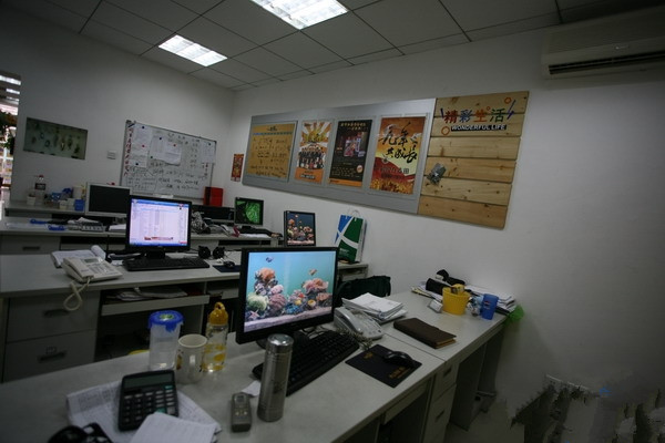 China Caiye Printing Equipment Co., LTD manufacturer
